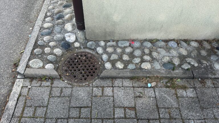 C4115979-0C39-455D-A854-4C51B3167618